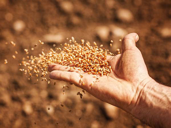 Many Bible teachers have their perspectives on Jesus' parables, but they ar