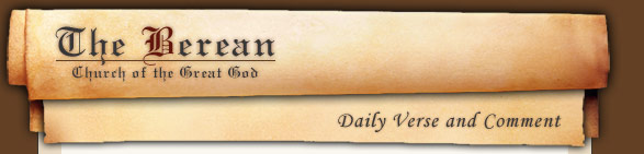 The Berean: Daily Verse and Comment