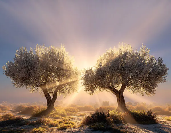 The Two Witnesses have once again become a hot topic in the churches of God
